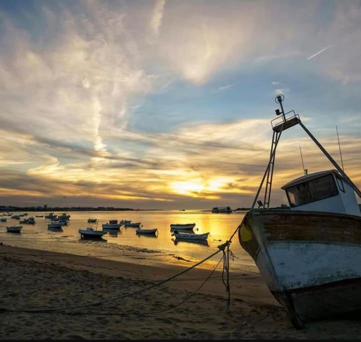 Bonito Apartamento En Sanlucar サンルーカル・デ・バラメダ エクステリア 写真